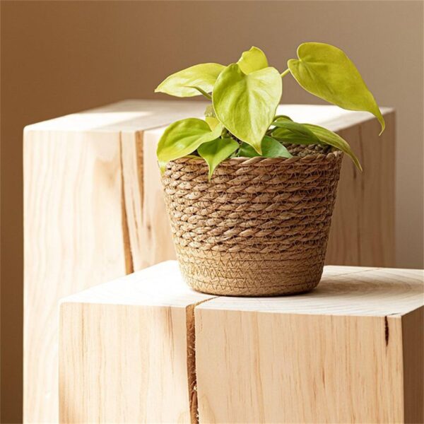 Woven Seagrass Plant Basket – Decorative Indoor Planter Cover - Image 2