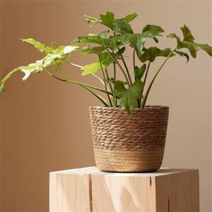 Woven Seagrass Plant Basket – Decorative Indoor Planter Cover