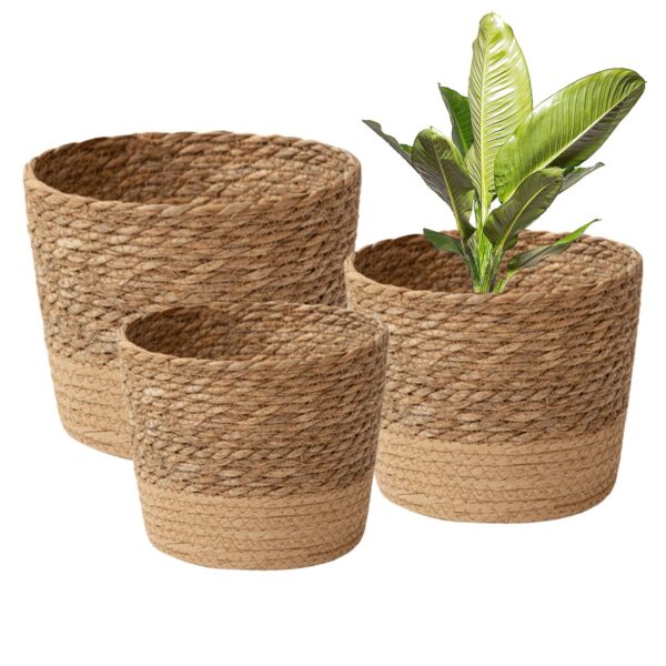 Woven Seagrass Plant Basket – Decorative Indoor Planter Cover - Image 3
