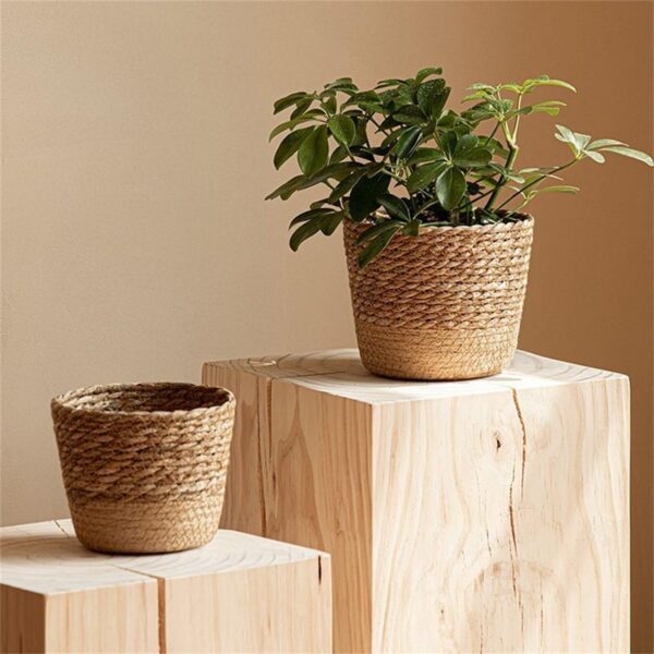 Woven Seagrass Plant Basket – Decorative Indoor Planter Cover - Image 5