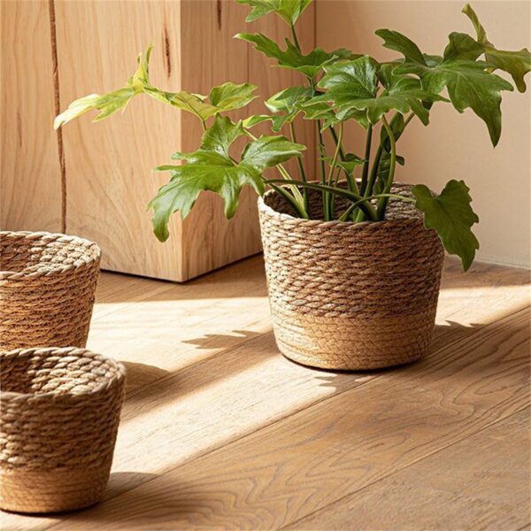 Woven Seagrass Plant Basket – Decorative Indoor Planter Cover - Image 6
